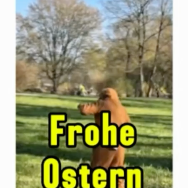 Bildschirmfoto 2026-04-04 um 22.25.19